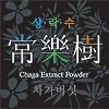 상락수 차가버섯