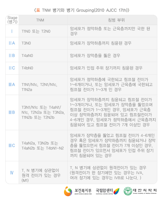 TNM병기와 병기 Grouping(2010 AJCC 17th)