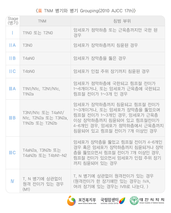 TNM  Grouping(2010 AJCC 17th)