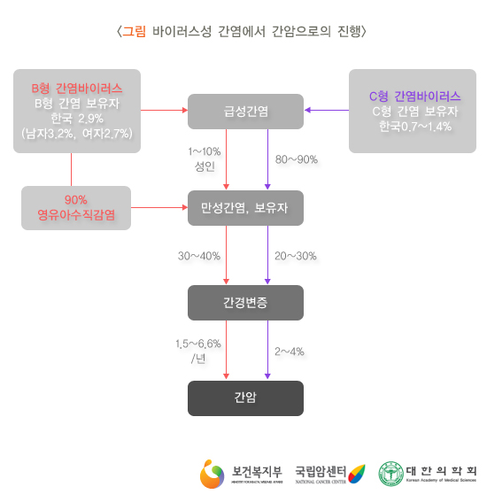 바이러스성 간염에서 간암으로의 진행