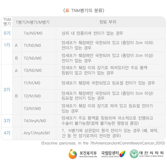 T(Tumor) TNM병기의 분류