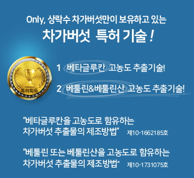 특허등록-베타글루칸,베툴린&베툴린산
